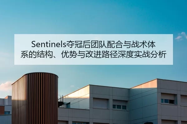 Sentinels夺冠后团队配合与战术体系的结构、优势与改进路径深度实战分析
