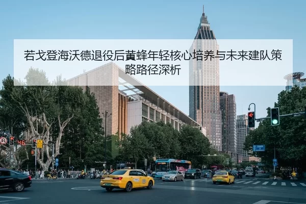 ruo-ge-deng-hai-wo-de-tui-yi-hou-huang-feng-nian-qing-he-xin-pei-yang-yu-wei-lai-jian-dui-ce-lve-lu-jing-shen-xi-2-999.jpg