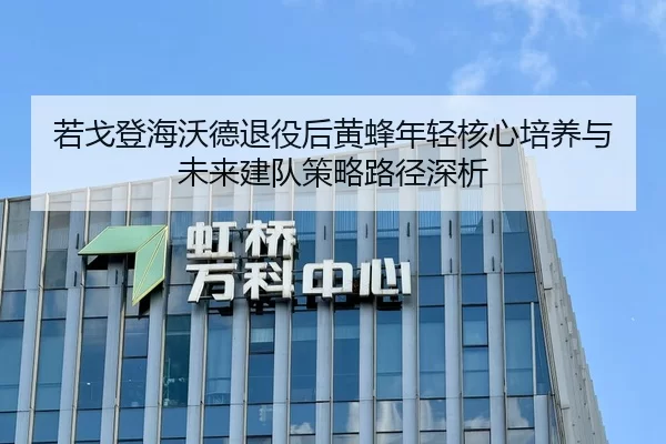 若戈登海沃德退役后黄蜂年轻核心培养与未来建队策略路径深析
