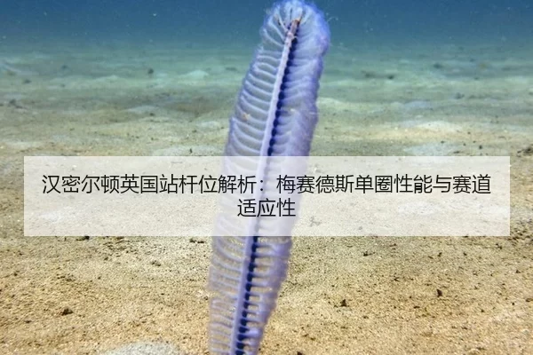 汉密尔顿英国站杆位解析：梅赛德斯单圈性能与赛道适应性